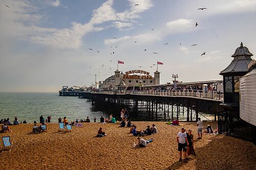 Best restaurants in Brighton & Hove